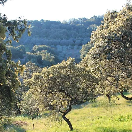Casa rural El Mirador *