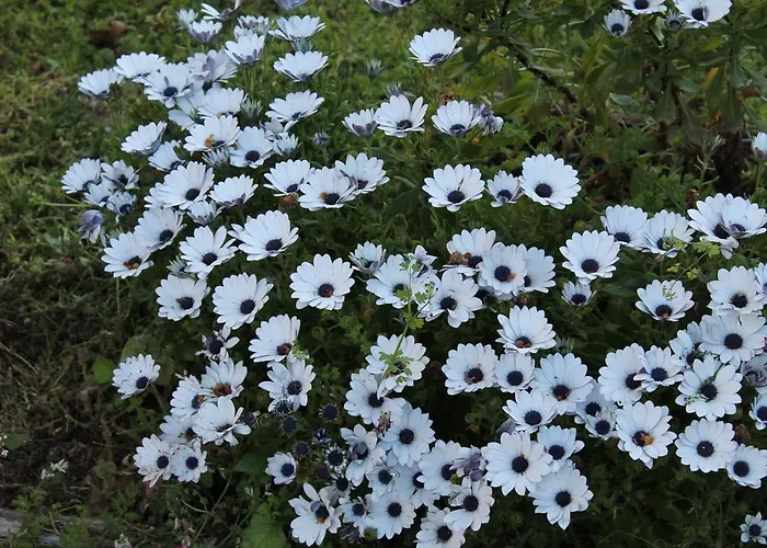 El Mirador Landhuis *